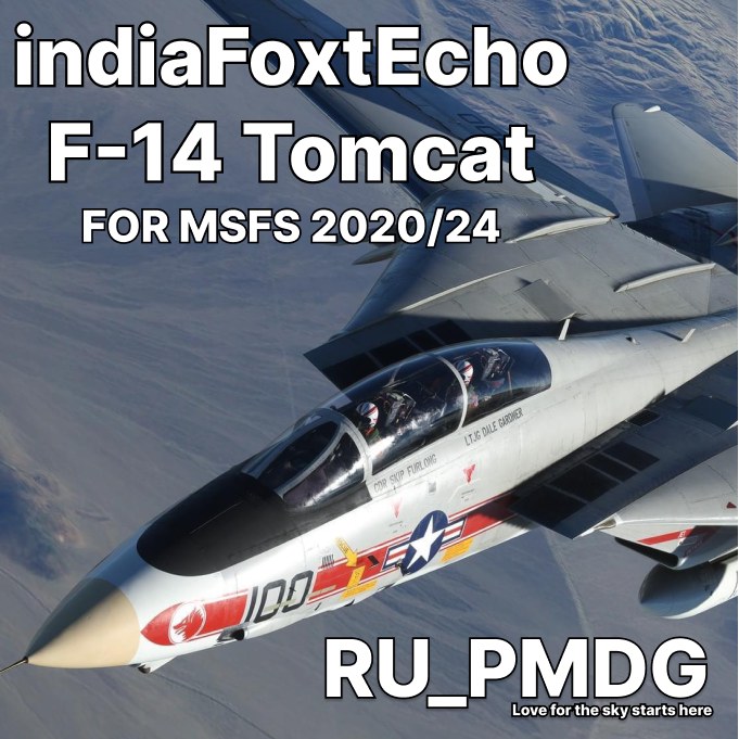 indiaFoxtEcho F-14 Tomcat MSFS20/24